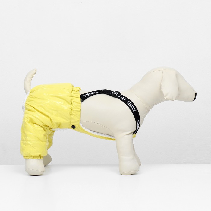 фото Комбинезон-штаны для собак, размер xs (дс 26, от 28 см), жёлтый
