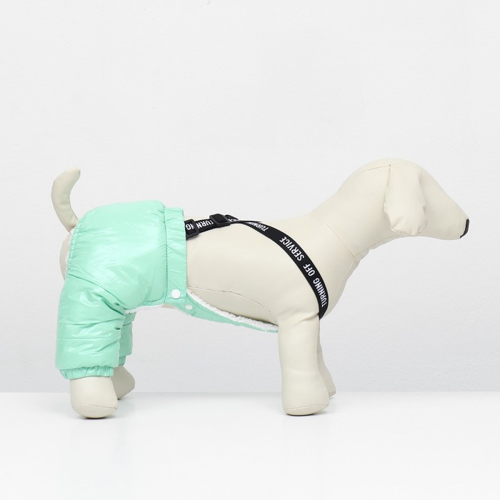 фото Комбинезон-штаны для собак, размер l (дс 40, от 44 см), мятный