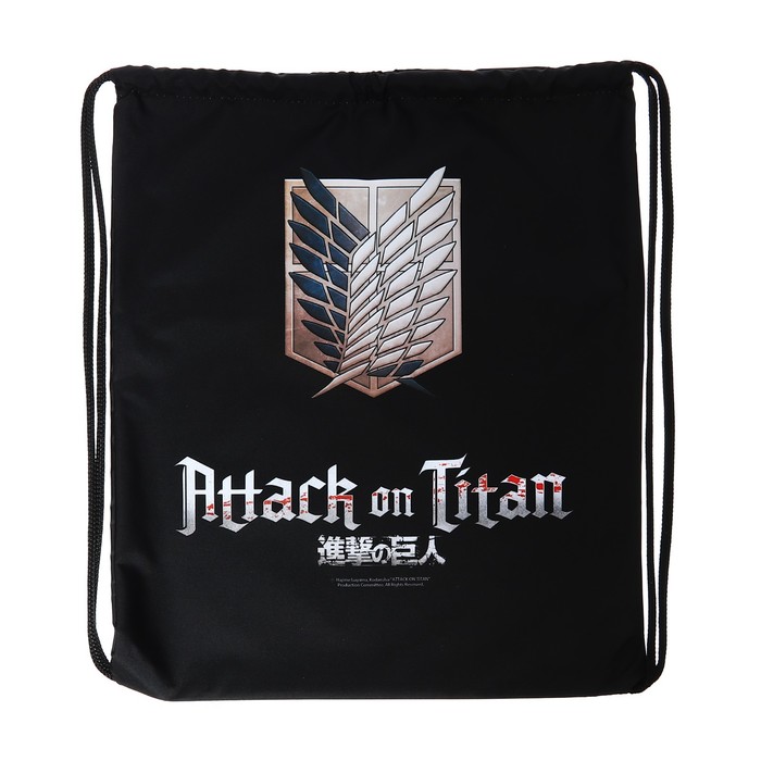 Мешок для обуви 490 х 410 мм, с петлей, Hatber 