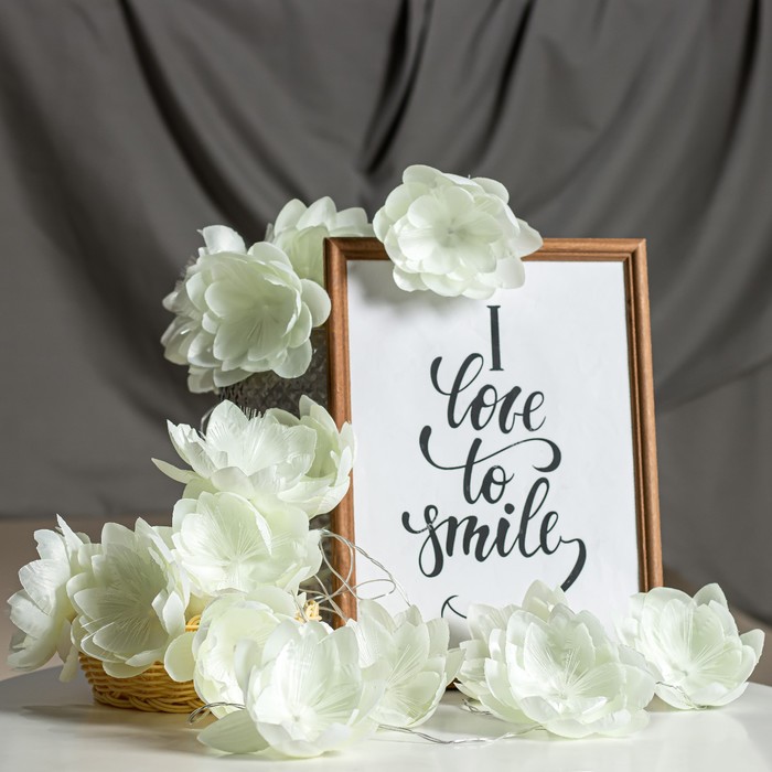 

Декоративная подсветка "Пионы" 20хLED 4000К 5м белый 500х12х12см RISALUX