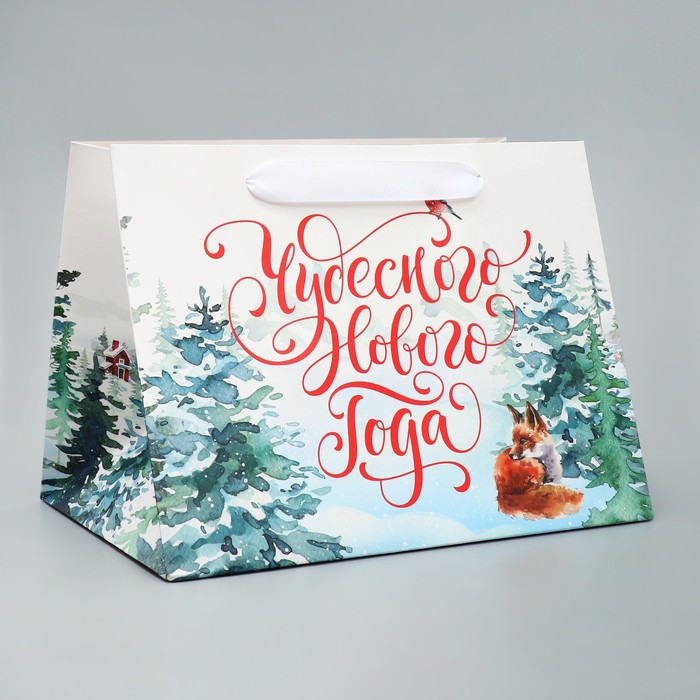 Пакет подарочный с широким дном «Новогодние чудеса», 25 × 19 × 18 см