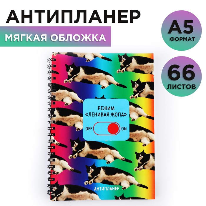 

Антипланер А5, 66 л. «Кот»