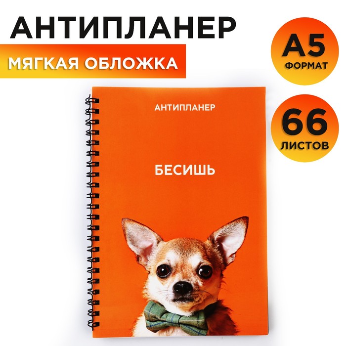 

Антипланер А5, 66 л. «Бесишь»