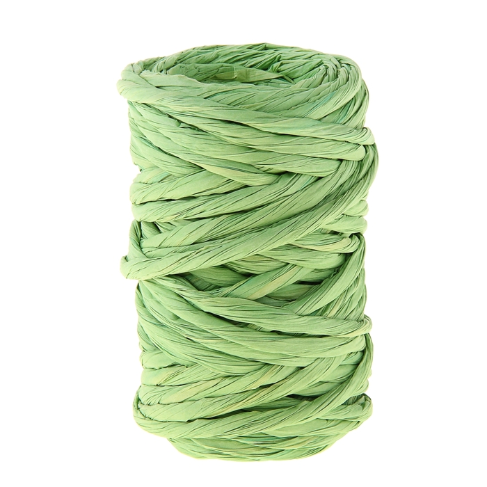 Шпагат декоративный, цвет салатовый