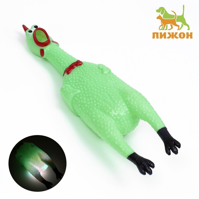 

Игрушка пищащая "Курица светящаяся" для собак, 28 см, зелёная