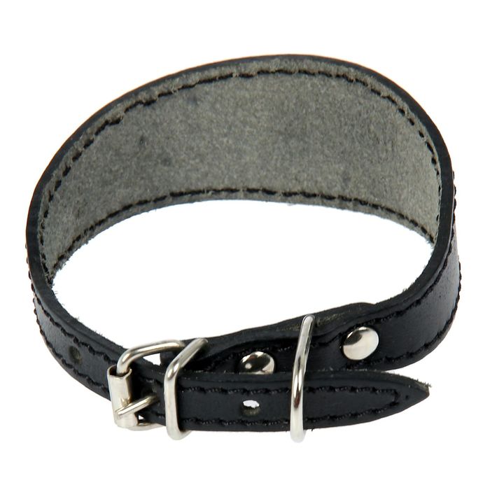 Ошейник кожаный "Селедка", однослойный, 1,5 см х 24-29 см, микс