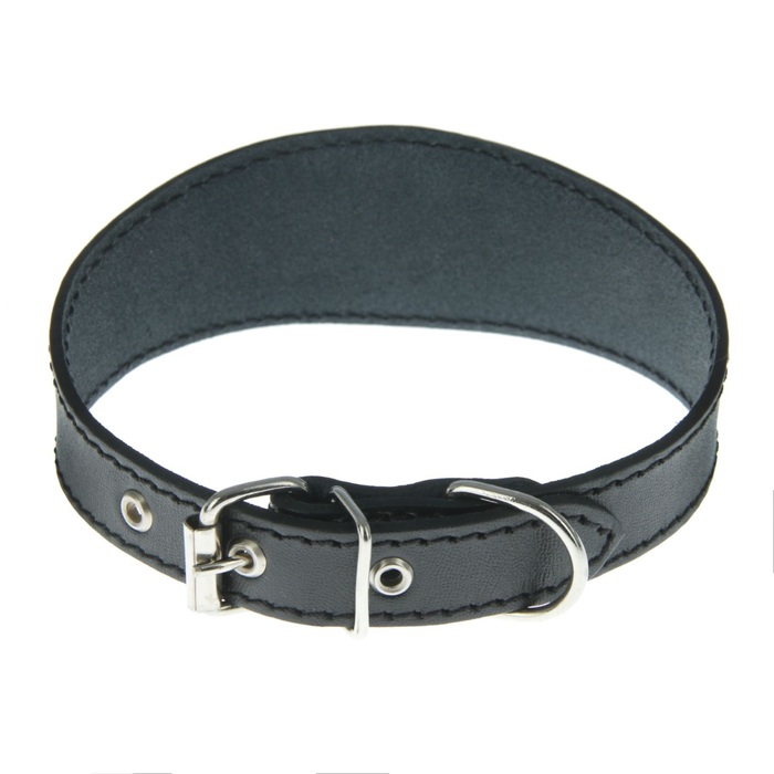 Ошейник кожаный "Селедка", однослойный, 2 см - 30-35 см, микс