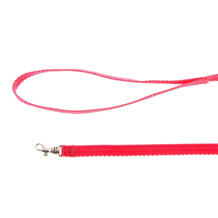 Комплект "Ошейник и поводок" для кошек (поводок 120 см, ошейника 32-19см)