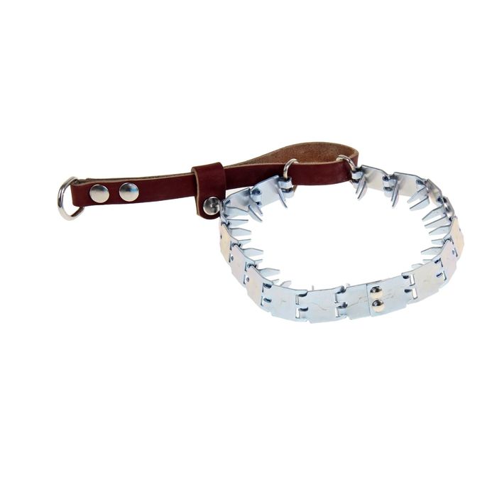 Ошейник металлический строгий с кожаной удавкой, окружность ошейника 40 см