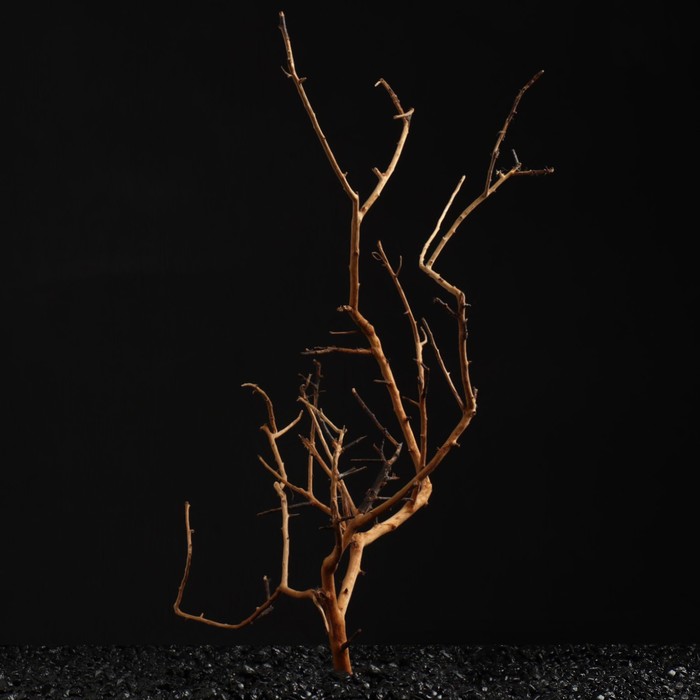 

Коряга для аквариума "Сакура", 25 - 30 см