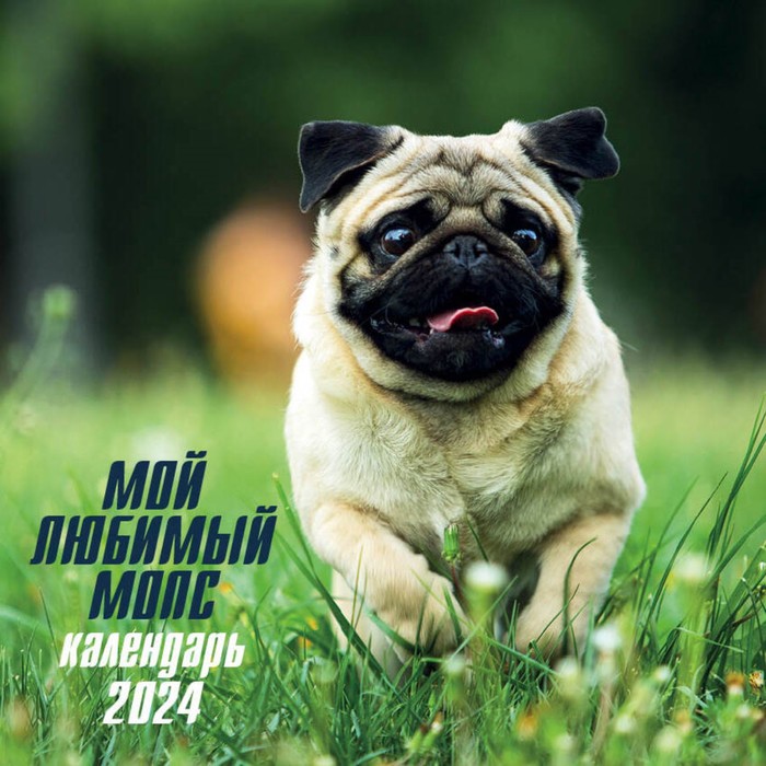 

Мой любимый мопс. Календарь настенный на 2024 год, 30х30 см