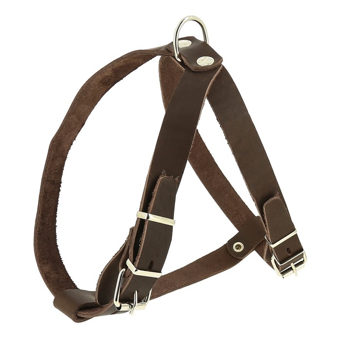 Шлейка кожаная 2 см ОШ 45-53 см ОГ 51-59 см 608₽