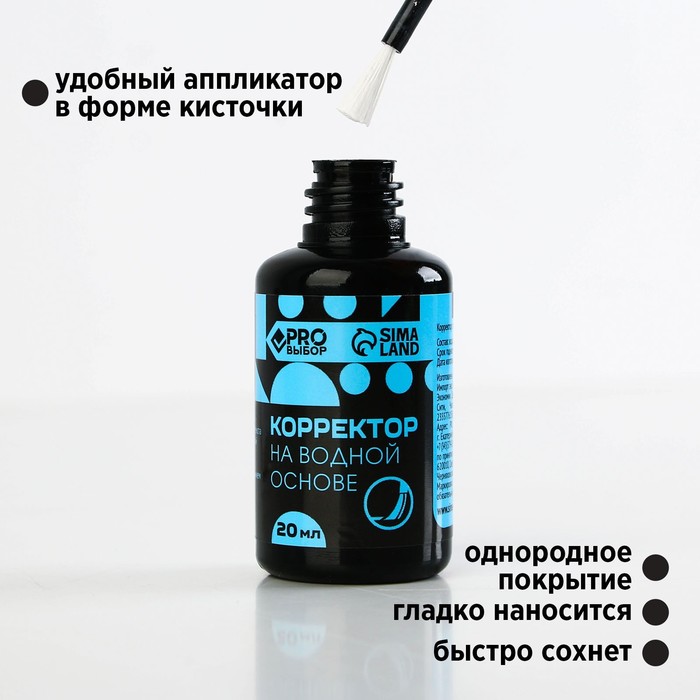Корректор с кисточкой на водной основе, 20 мл PROвыбор «Черный неон», цена за 1 шт