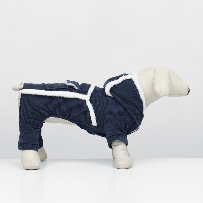 

Комбинезон "Малыш", размер L (ДС 35 см, ОГ 45 см, ОШ 35 см), синий