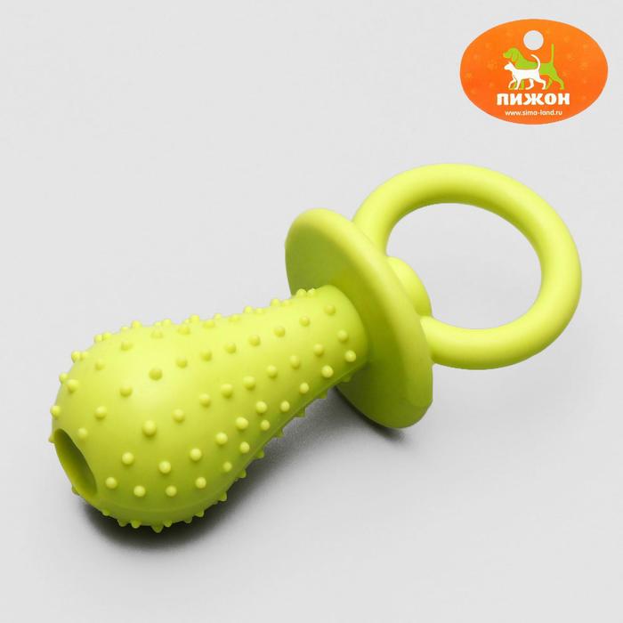 Игрушка жевательная "Соска", TPR, 9,5 см, микс цветов