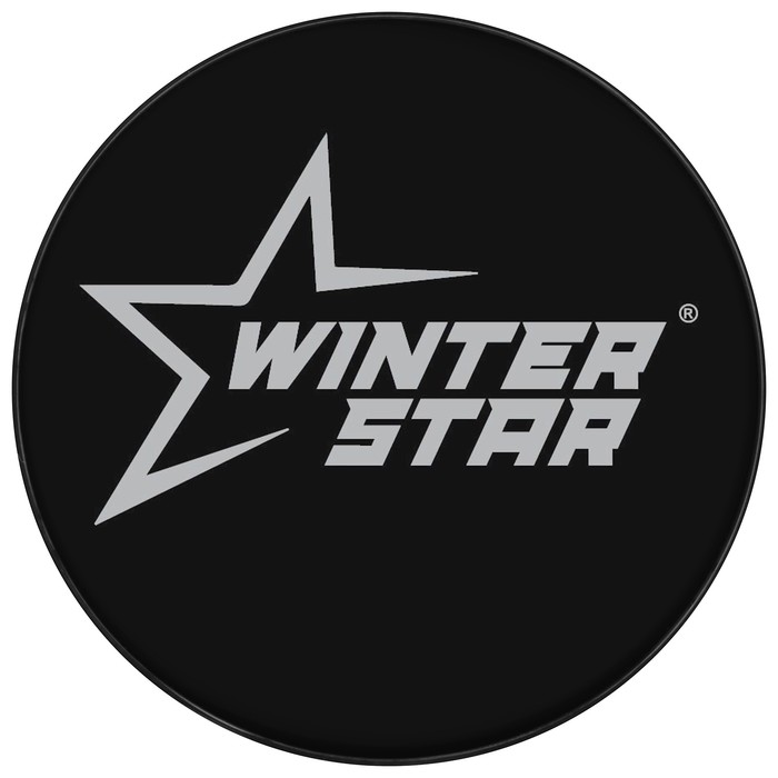 фото Шайба хоккейная winter star, взрослая, d=7,6 см