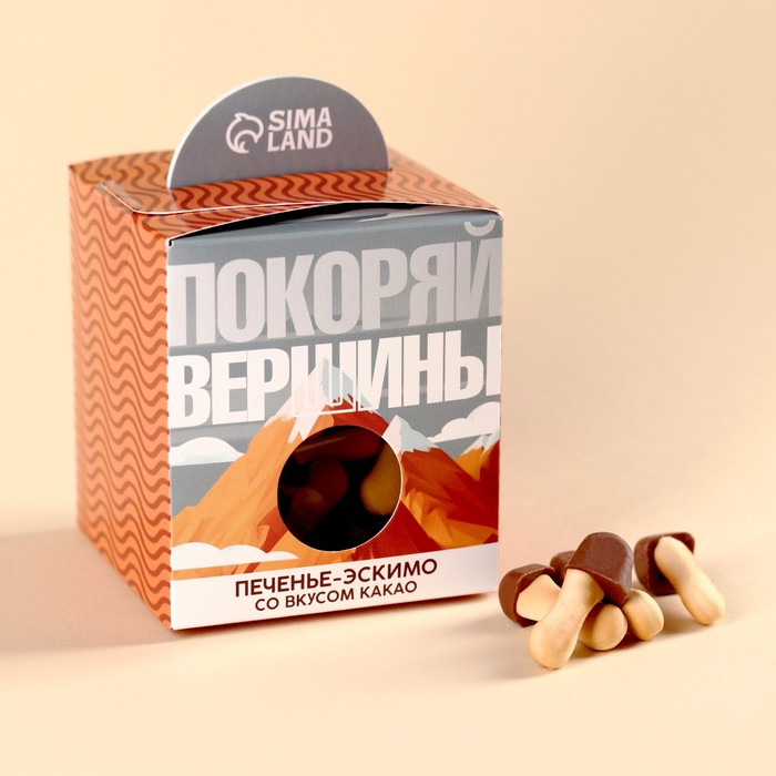 Печенье с глазурью, вкус: какао «Покоряй вершины», 100 г. печенье юбилейное витаминизированное молочное с глазурью 232 г