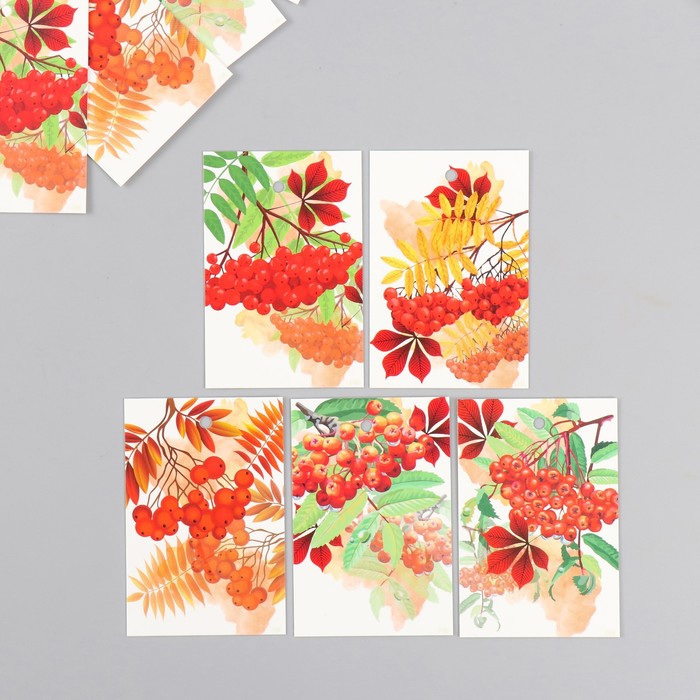 Бирка картон Осень Рябина набор 10 шт (5 видов) 4х6 см