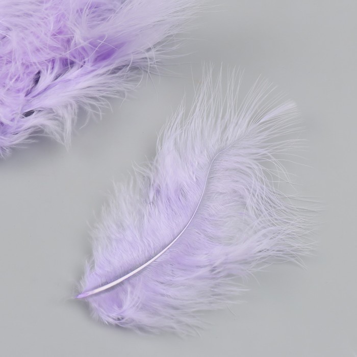 фото Набор декоративных перьев "рукоделие", 20 шт (сиреневый цвет), длина пера 13-16 см