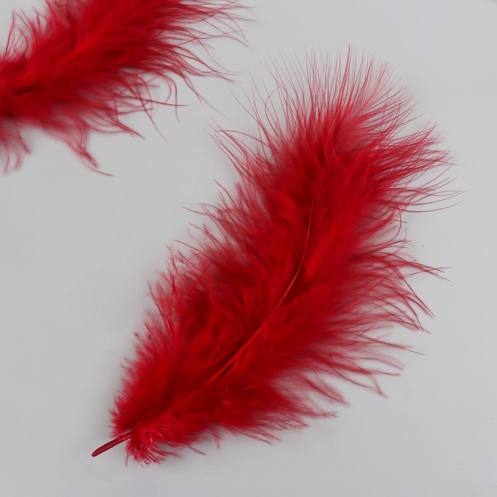 фото Набор декоративных перьев "рукоделие", 20 шт (темно-красный цвет), длина пера 13-16 см