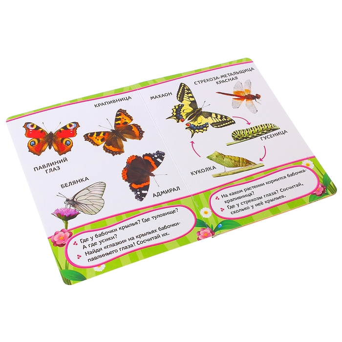 Всё-всё-всё для малышей «Насекомые»