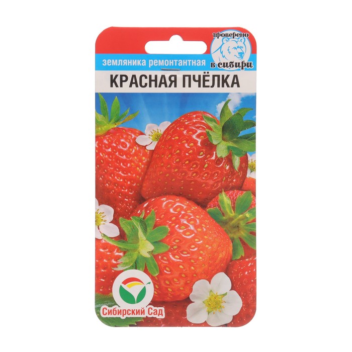 Земляника Красная пчелка, 10 шт