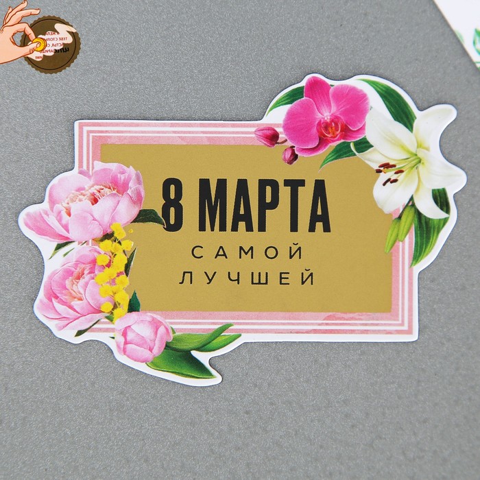 

Магнит со скретч-слоем «Самой лучшей», 4,9 х 7 см