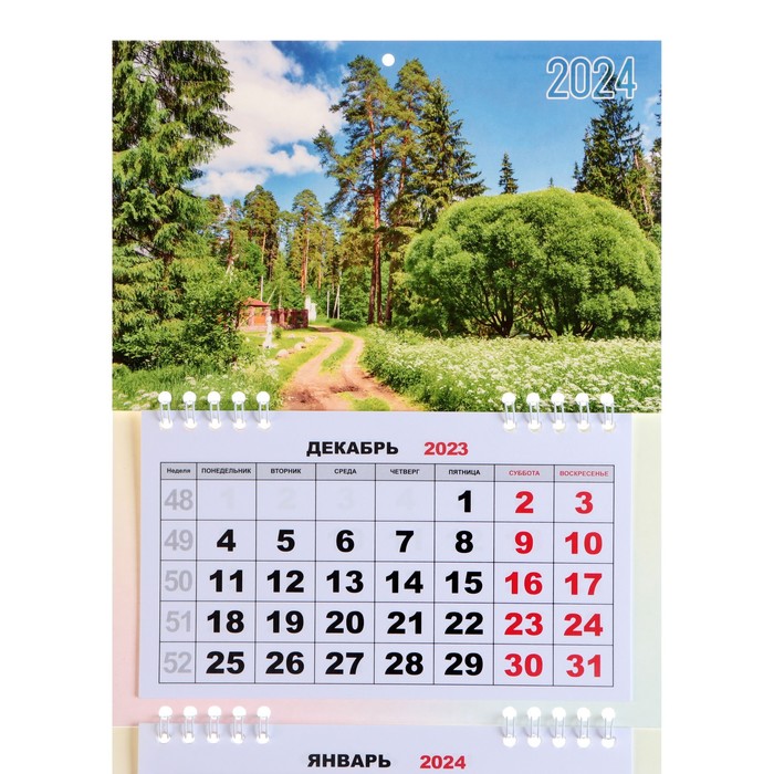

Календарь квартальный, мини-трио "Природа" 2024 год, 19х46 см