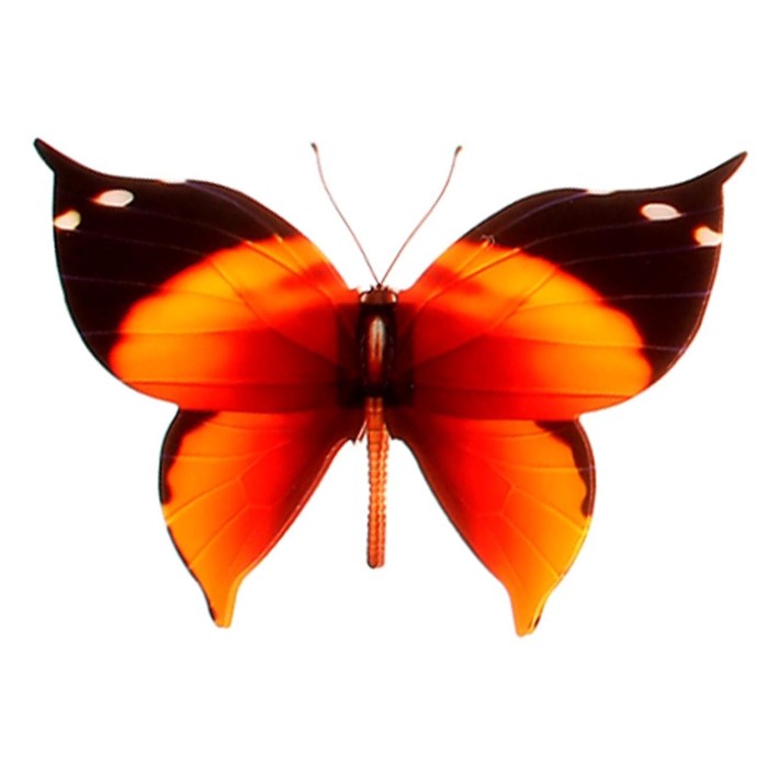 Магнит "Бабочка большая" двойные крылья, МИКС