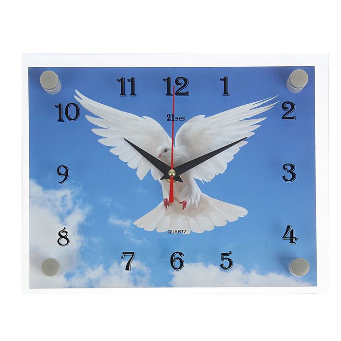 Часы настенные прямоугольные "Голубь", 20х26 см микс