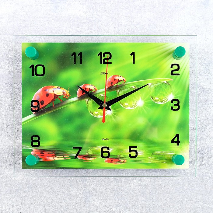 Часы настенные, серия Животный мир, Божьи коровки, 20х26 см, микс