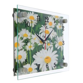 Часы настенные, серия: Цветы, "Ромашки", 20х26 см, микс от Сима-ленд