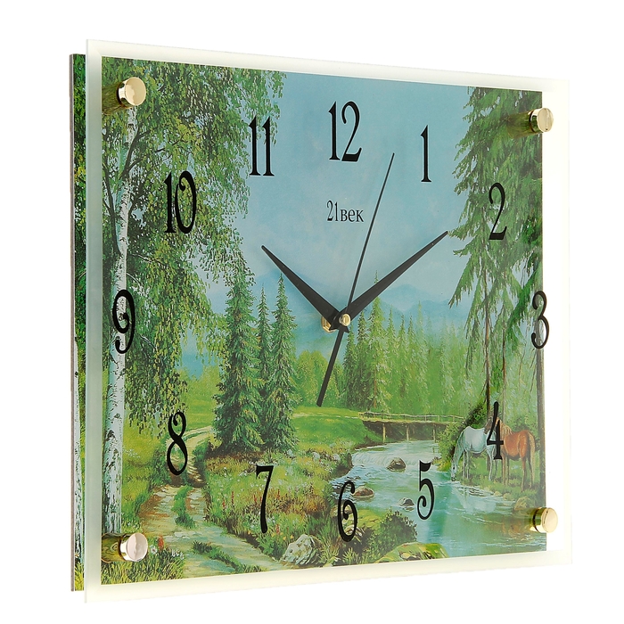 Часы настенные прямоугольные "Природа", стекло, 30х40 см микс