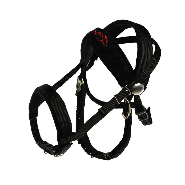 

Недоуздок из нейлона с флисовым подкладом, регулируемый размер, черный