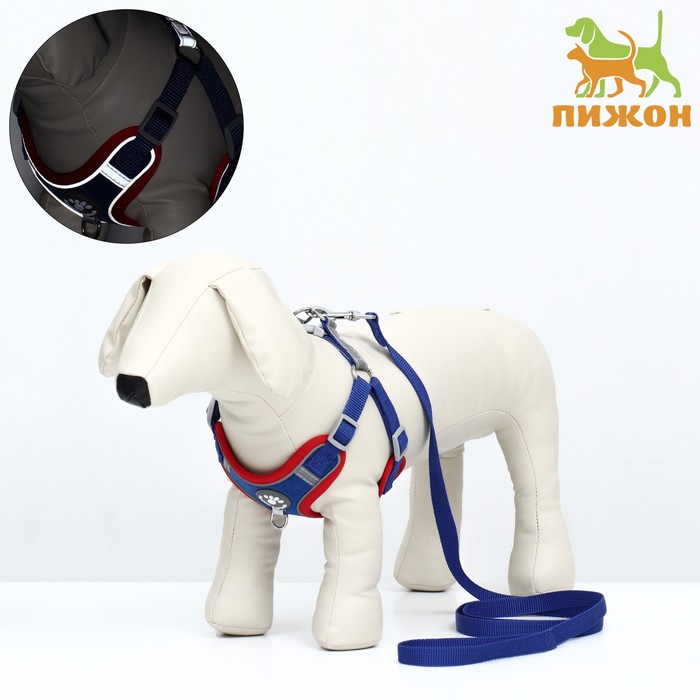 

Комплект Sport+, S, поводок 150 x 1,5 см, ОШ 39-41 см, ОГ 44-48 см, вес животного 7-13 кг, синий 96