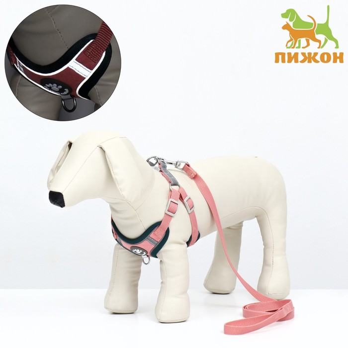 

Комплект Sport+, XS, поводок 120 x 1,5 см, ОШ 37-39 см, ОГ 41-46 см, вес животного 4-6 кг, розовый