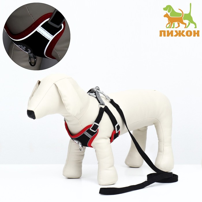 

Комплект Sport+, L, поводок 120 х 1,5 см, ОШ 49-56 см, ОГ 56-68 см, вес животного 20-28 кг, чёрный