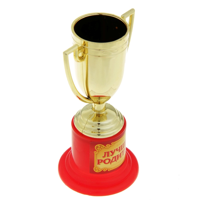 Кубок "Лучшие родители"