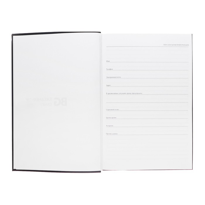 Ежедневник недатированный А5, 136 листов в линию 