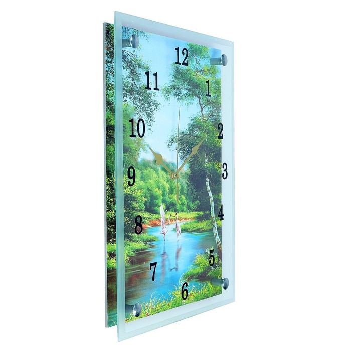 Часы настенные прямоугольные "Цапли", 25х35 см