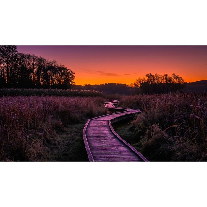 

Фотобаннер, 250 × 150 см, с фотопечатью, люверсы шаг 1 м, «Тропа», Greengo