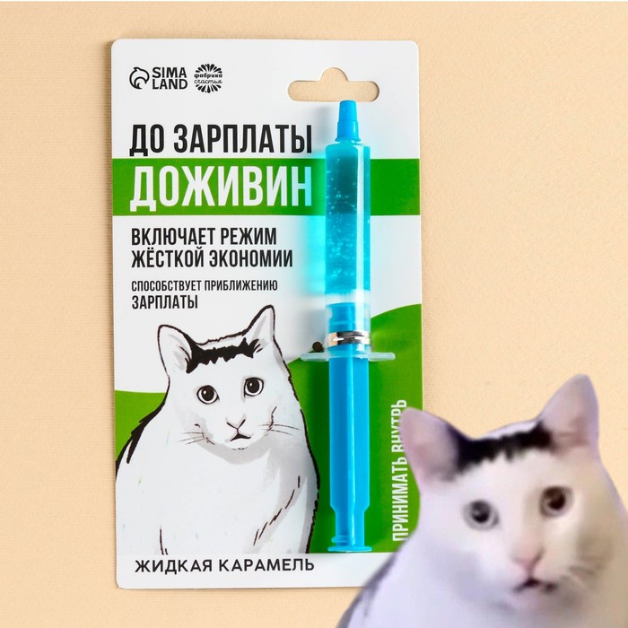 

Карамель жидкая в шприце «До зарплаты доживин», 5,5 г.