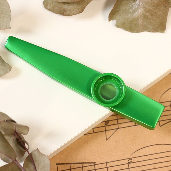 Музыкальный инструмент Казу Music Life, зеленый поезд музыкальный буковка зеленый