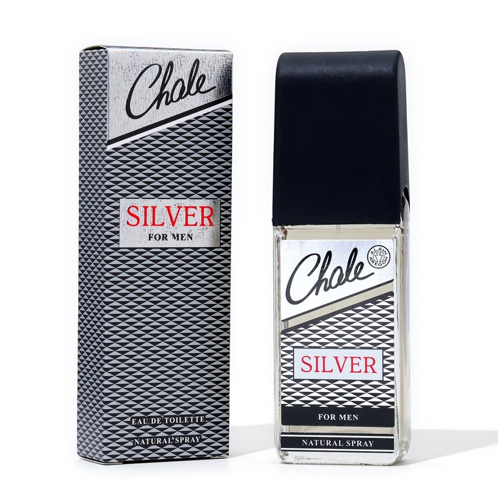 Туалетная вода мужская Chale Silver 100 мл 219₽