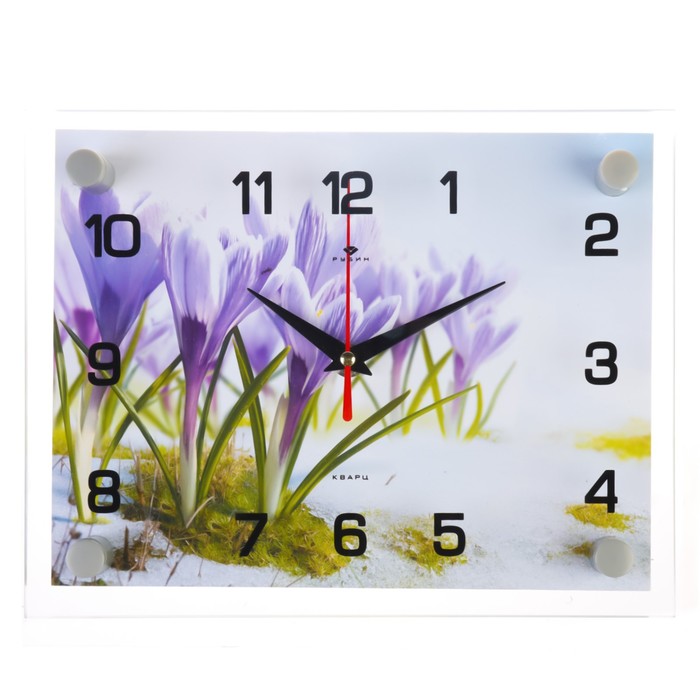 Часы настенные, интерьерные: Цветы, Подснежники 20х26 см часы настенные море ракушка 20х26 см