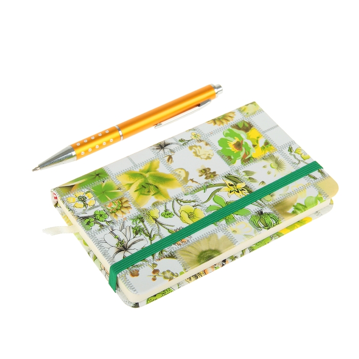 Набор подарочный 2в1 в карт.коробке (ручка+блокнот, 96стр) зеленый