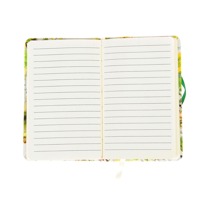 Набор подарочный 2в1 в карт.коробке (ручка+блокнот, 96стр) зеленый