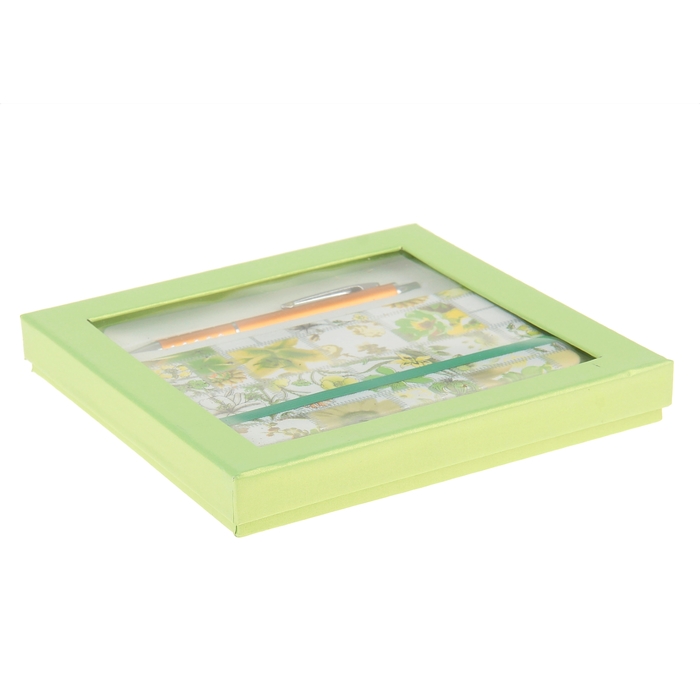 Набор подарочный 2в1 в карт.коробке (ручка+блокнот, 96стр) зеленый