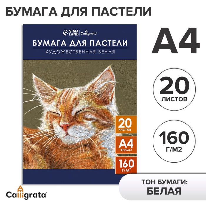 Бумага для пастели А4, 20 листов 