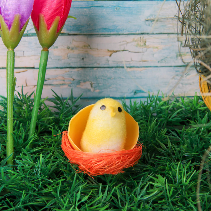 Сувенир "Птенец в скорлупе"